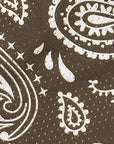 Close-up of RF-Wear Men's Mesh Paisley Shorts in Mocha/Cream