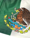 Close-up of RF-Wear Swim Trunks - Mexico Flag