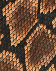 Close-up of a snake skin pattern with brown and black scales.