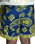 RF Wear Men's Mesh Basketball Paisley Indiana Shorts - Yellow/Blue - Model Back View
