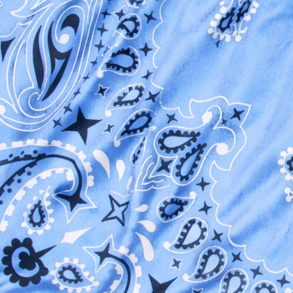 Women's Bandana Shorts