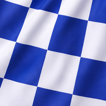 Women's Checkered Shorts