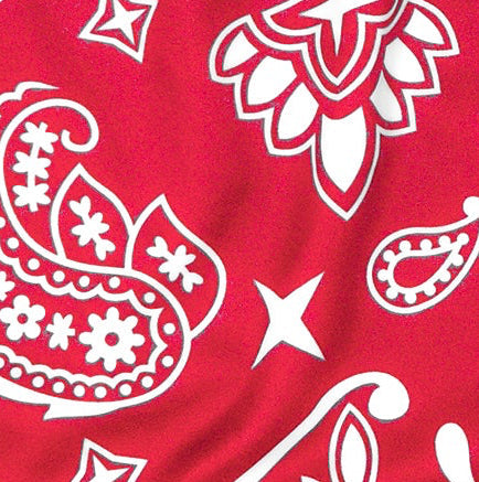 Men's Paisley Shorts