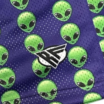 Close-up of RF-Wear  Men's Mesh Alien Shorts in Purple/ Green with RF logo