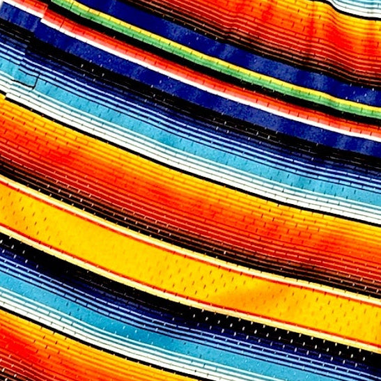 Close-up of Men's RF-Wear Mesh Baja Shorts - Multicolor