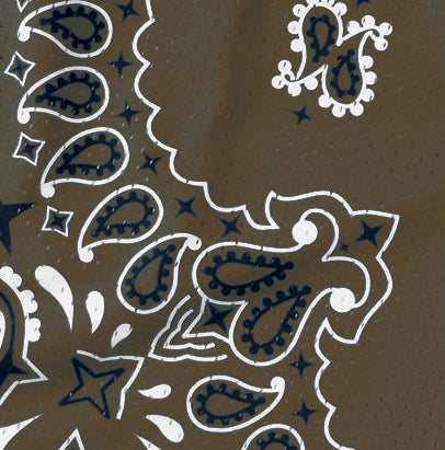 Close-up of RF-Wear Men's Mesh Bandana Shorts in Brown