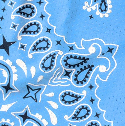 Close-up of RF-Wear Mens Mesh Bandana Shorts in Sky Blue