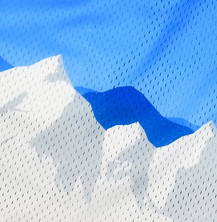 Close-up of RF-Wear Men's Mesh Mountain Skyline Shorts in Blue/White