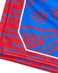 Close-up of RF-Wear Men's Mesh Oklahoma City Paisley Basketball Shorts in  Blue/Red 
