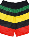 RF-Wear Men's Mesh Rasta Shorts in multicolors
