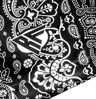 Close-up of RF-Wear Men's Paisley Stripe Shorts in Black with logo