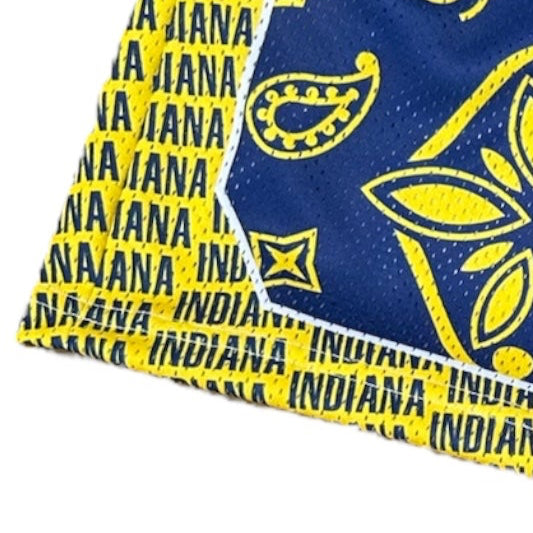 Close-up of RF-Wear Men's Mesh Basketball Paisley Indiana  Shorts in Yellow/Blue