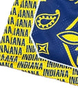 Close-up of RF-Wear Men's Mesh Basketball Paisley Indiana  Shorts in Yellow/Blue