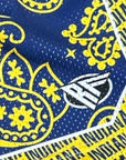 Close-up of RF-Wear Men's Mesh Basketball Paisley Indiana  Shorts in Yellow/Blue with RF logo