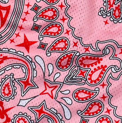 Close-Up of RF-Wear Mesh Bandana Shorts in Pink