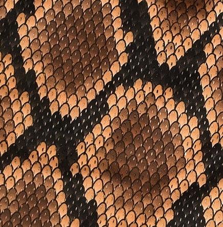 Close-up of RF-Wear Men's Snakeskin Shorts in Brown