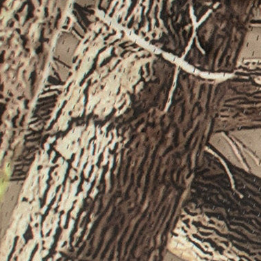 Close-up of a textured surface with patterns