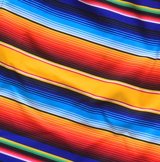 Close-up of RF-Wear Swim Trunks - Baja (Lined) Multicolored