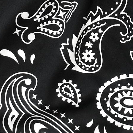 Close-up of black and white paisley print.