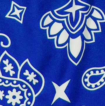 Close-up of RF-Wear blue/white paisley shorts