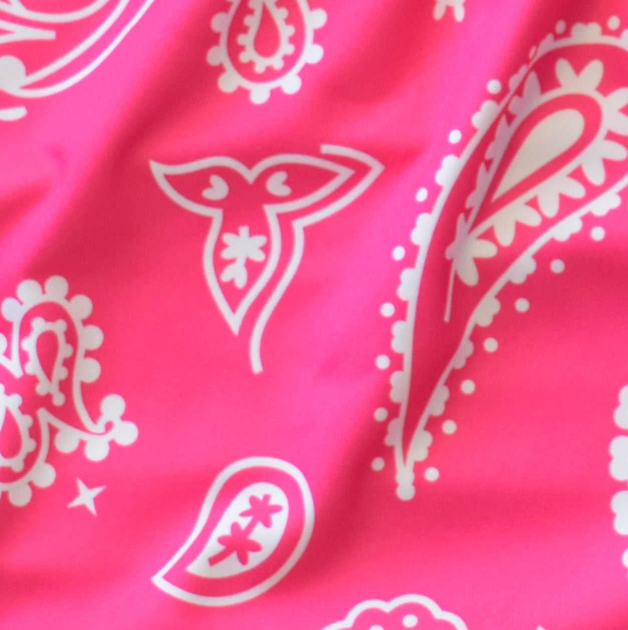 Close-up of RF-Wear Women's Paisley Shorts in Fuchsia/White 