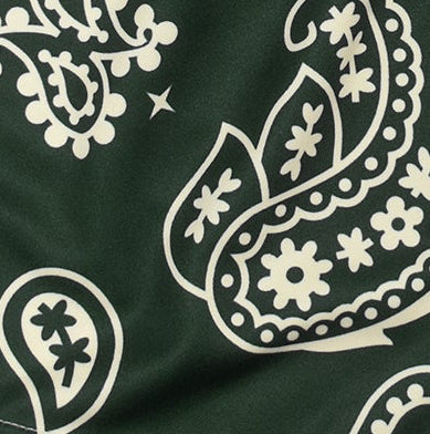 Close-up of Women's Green/Cream Paisley Print