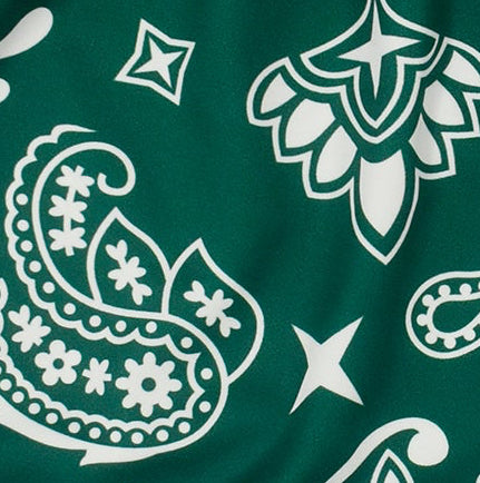 Close-up women's green/white paisley shorts