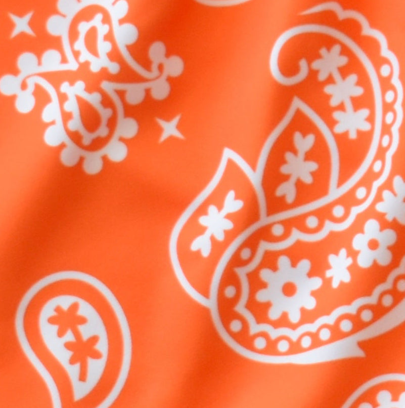 Close-up of women's paisley fabric in Orange/White