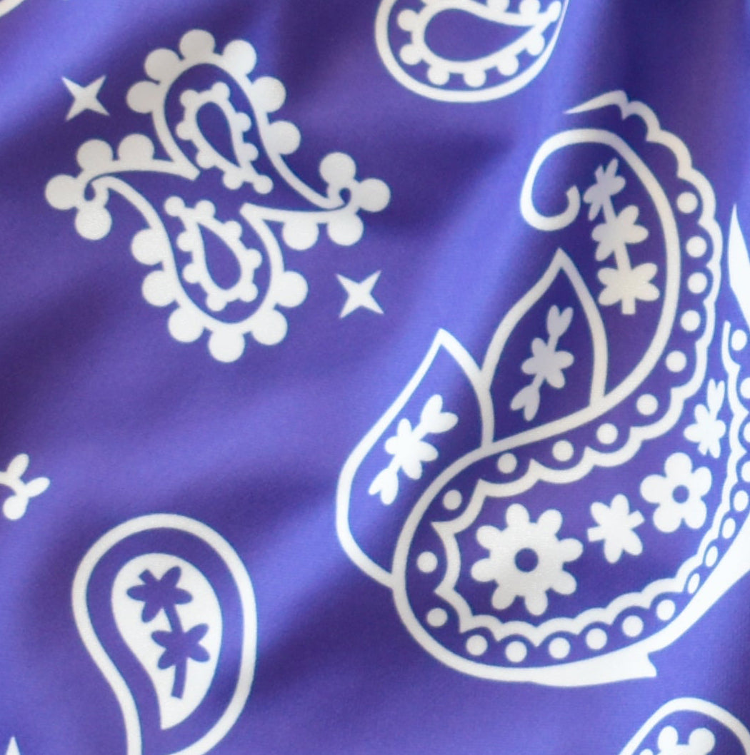 Close-up of RF-Wear Women's Paisley Shorts in Purple.White