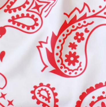 Close-up of RF-Wear Women's Paisley Shorts - White/Red