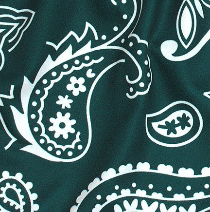 Close-up of RF-Wear Women's Split Paisley Shorts in Green/Silver