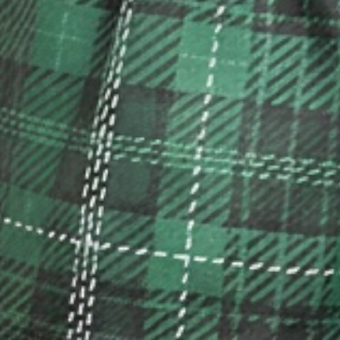 Close-up of RF-Wear Women's Plaid Shorts in Green
