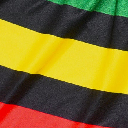 Close-up of RF-Wear Women's Rasta Shorts in Multicolors