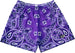 RF Mesh Bandana Shorts - Purple