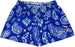 RF Women's Paisley Shorts - Blue/White