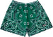 RF Mesh Bandana Shorts - Green